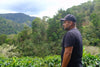 Sombre del Cerro Chirripó // Costa Rica