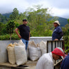 Don Senel Campos - Catuai Natural // Costa Rica