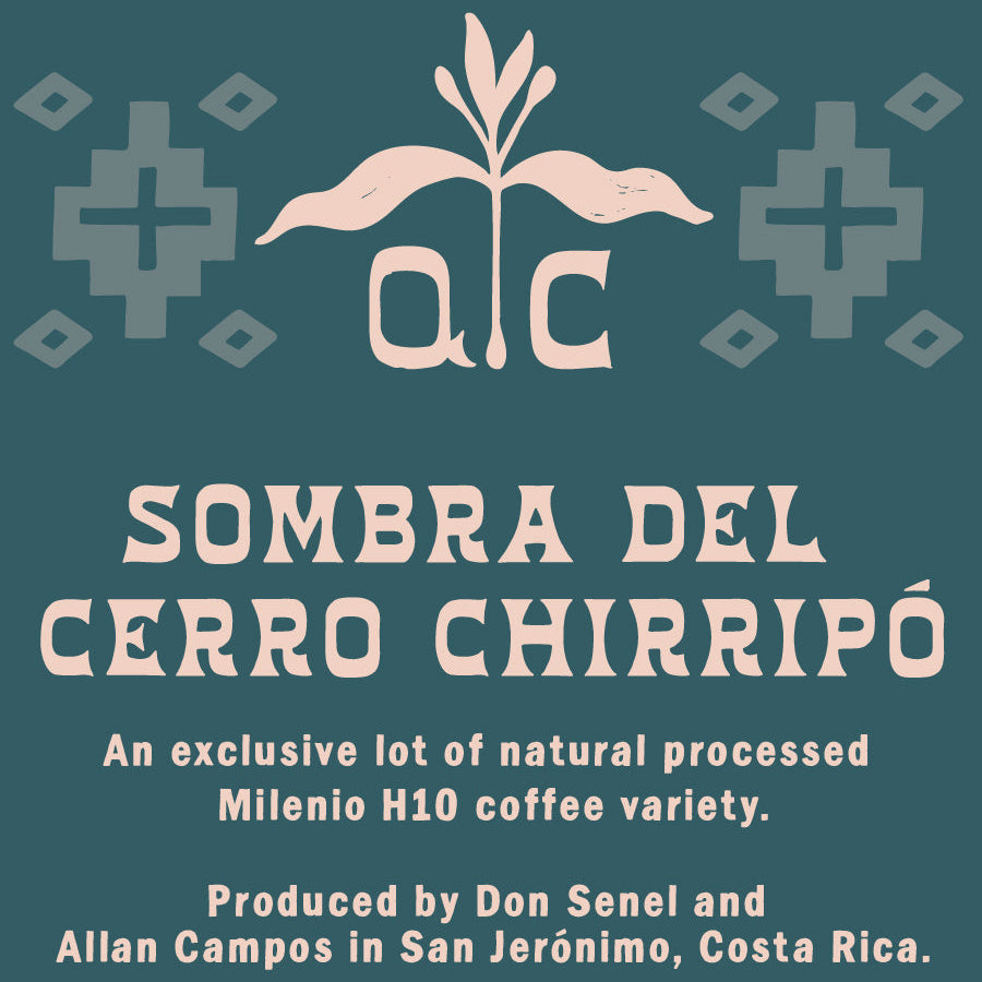 Photo of Sombre Del Cerro Chirripo Costa Rica