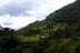 Don Senel Campos - Catuai Natural // Costa Rica
