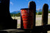 Starling Farm Coffee