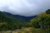 Sombre del Cerro Chirripó // Costa Rica