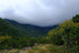 Sombre del Cerro Chirripó // Costa Rica