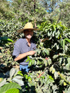 Finca Patzibir // Guatemala