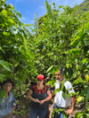 Grupo Mujeres de Bella Vista // Mexico