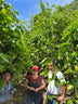 Grupo Mujeres de Bella Vista // Mexico