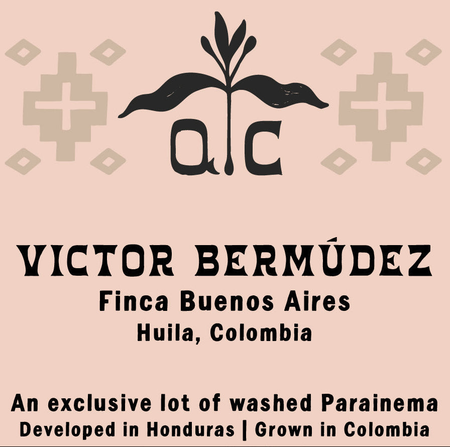 Photo of Victor Bermudez Parainema