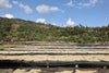 Hagosa // Ethiopia